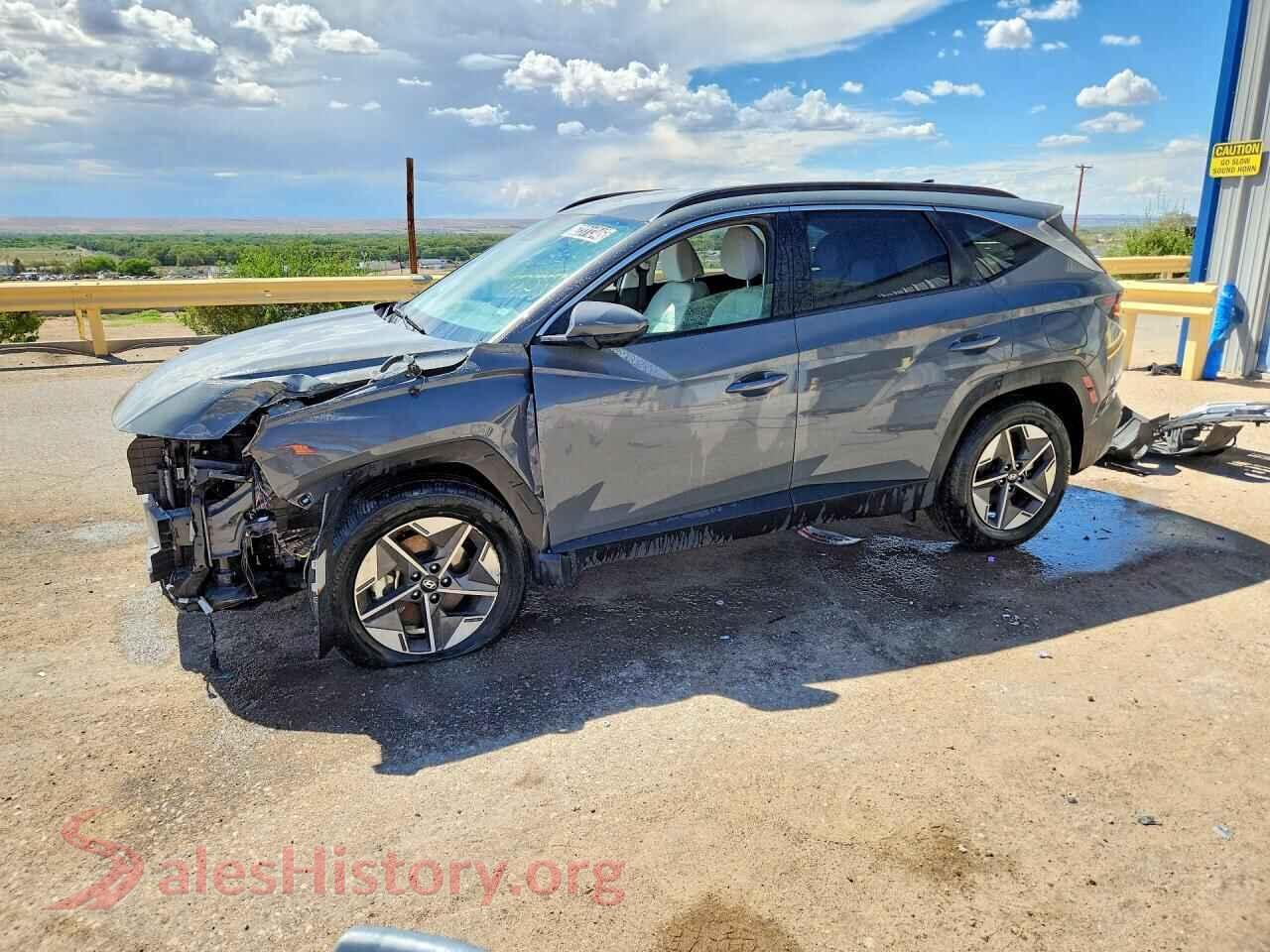 2025 HYUNDAI TUCSON — VIN 5NMJB3DE9SH479933
