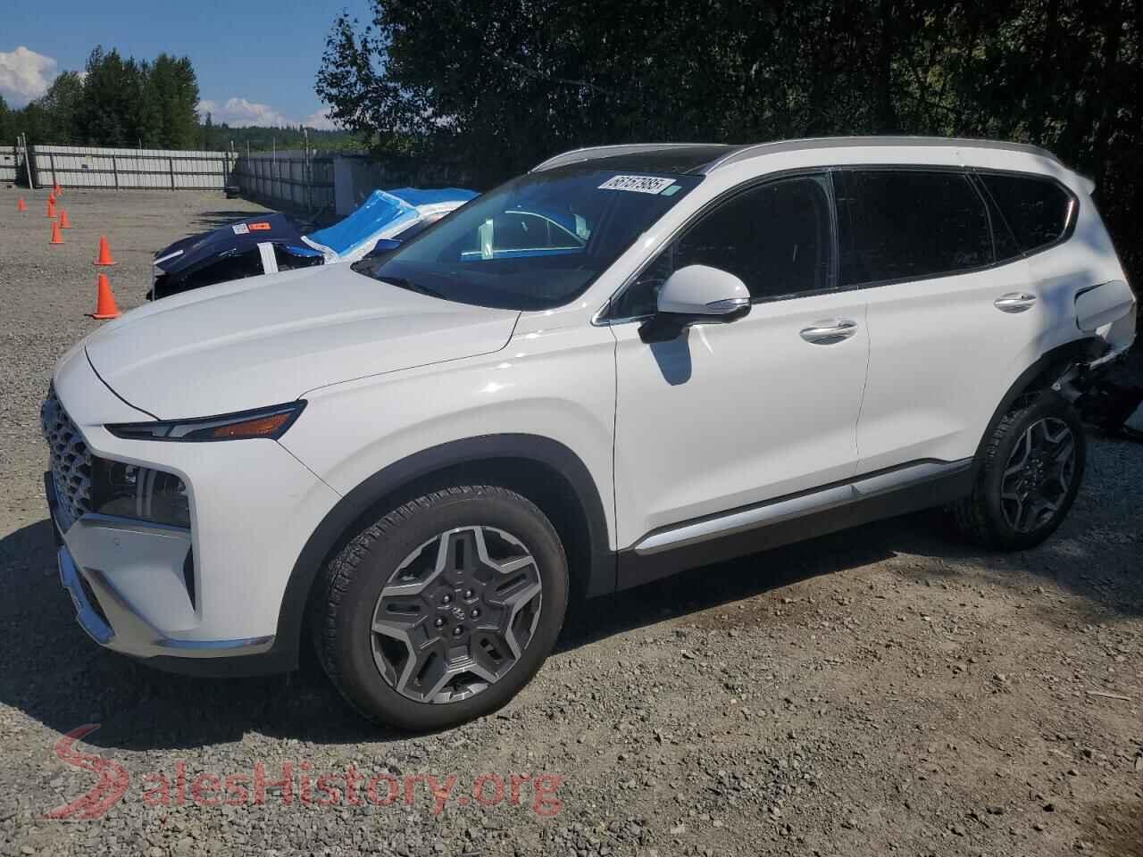 2023 HYUNDAI SANTA FE — VIN 5NMS5DA14PH018651