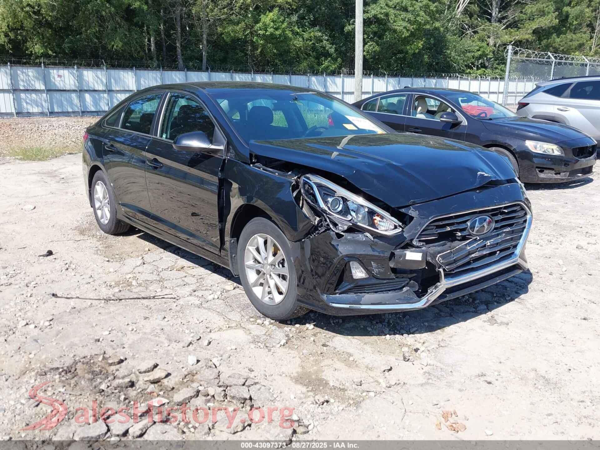 2019 HYUNDAI SONATA — VIN 5NPE24AF7KH803176