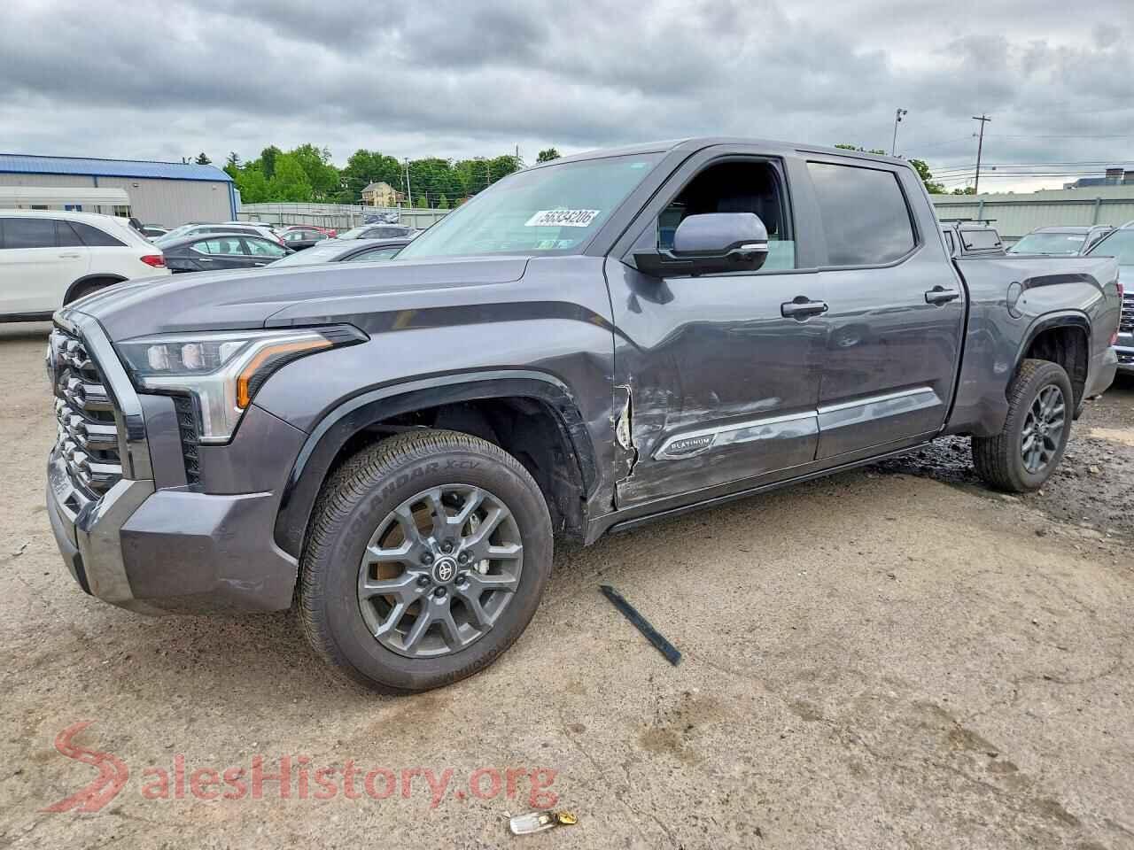 2025 TOYOTA TUNDRA — VIN 5TFNA5EC0SX042598