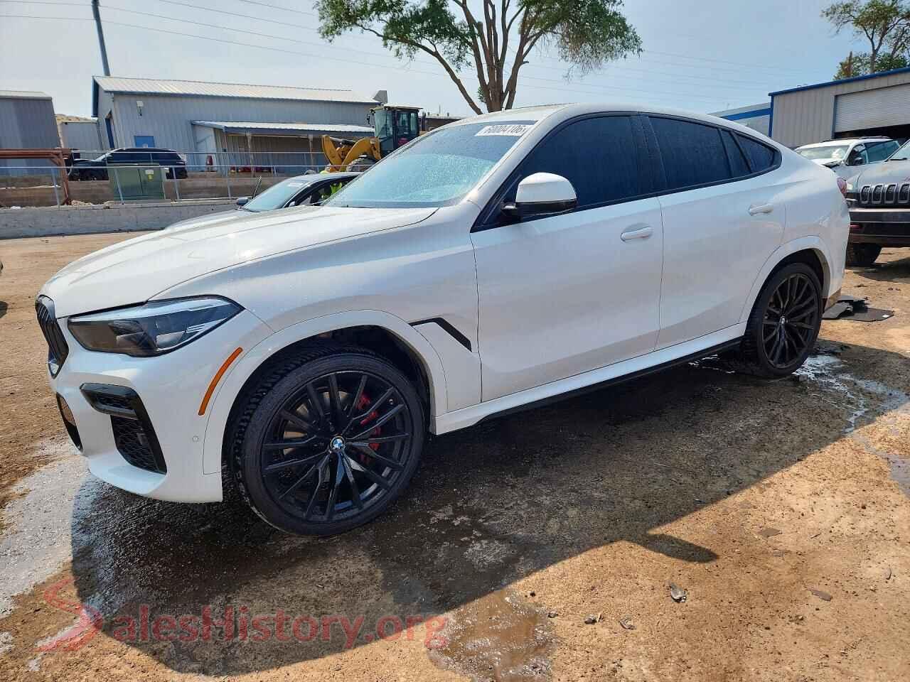 2022 BMW X6 — VIN 5UXCY6C01N9K30877