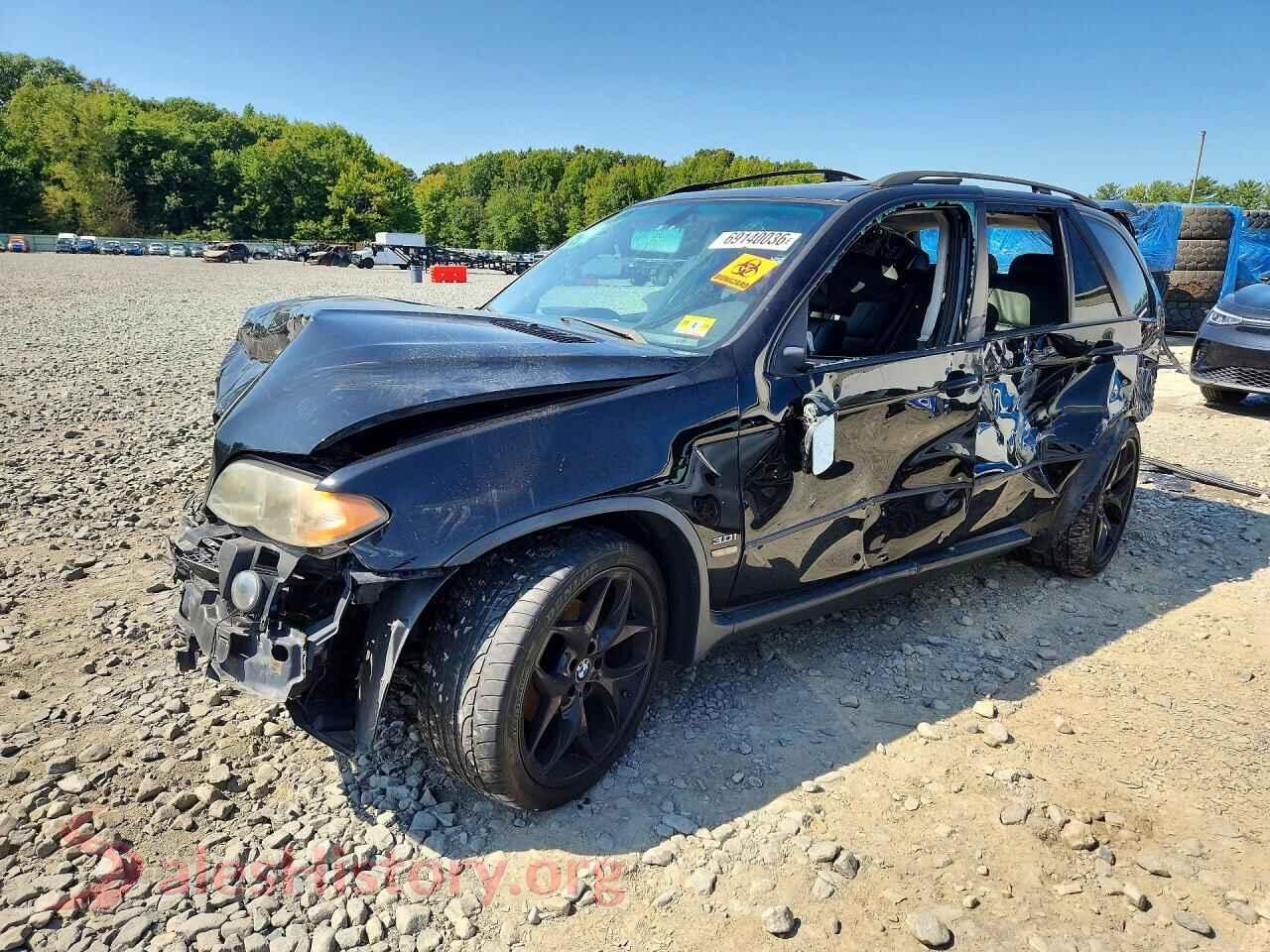 2005 BMW X5 — VIN 5UXFA13515LB09711