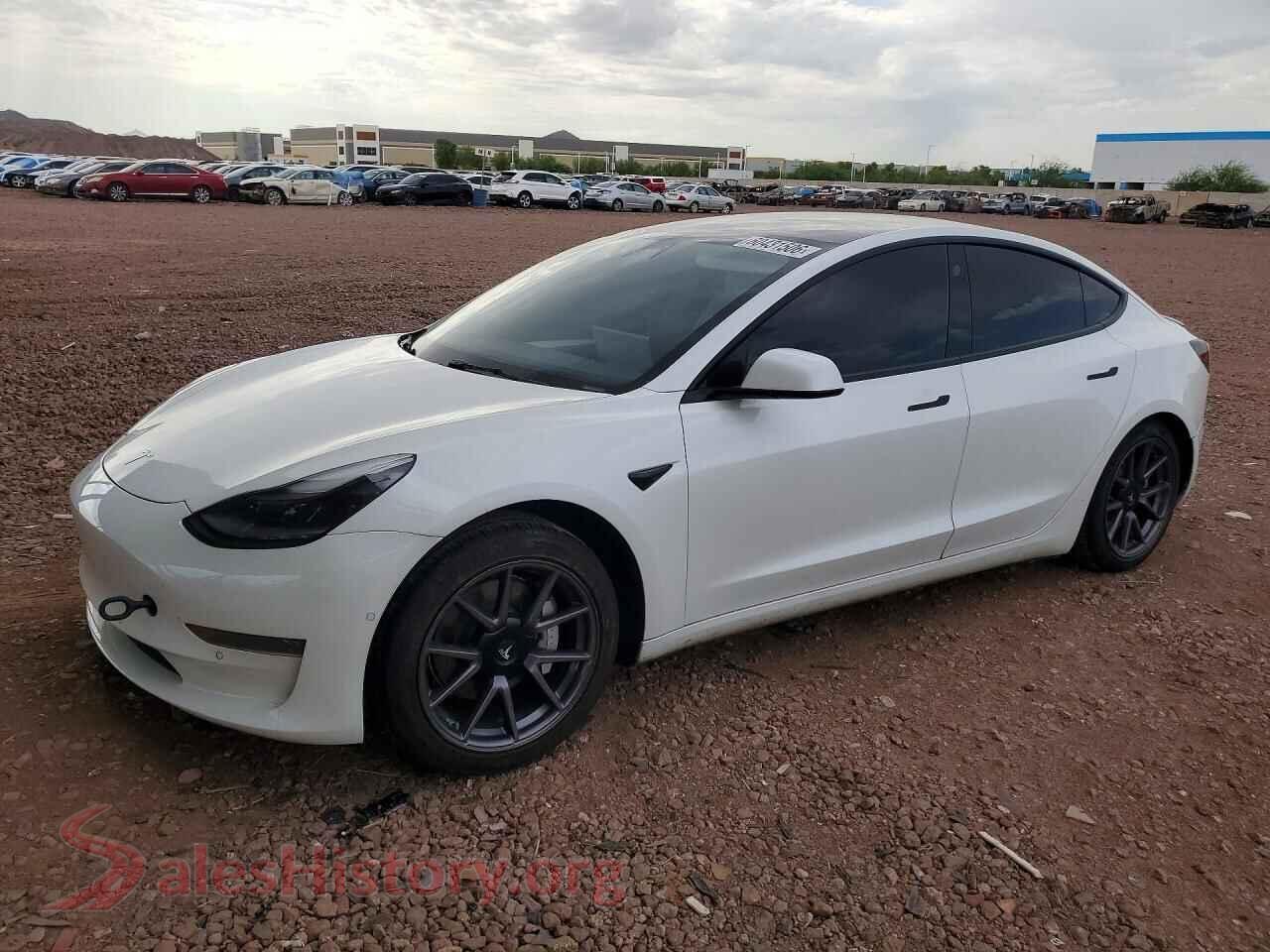 2021 TESLA MODEL 3 — VIN 5YJ3E1EA1MF096010