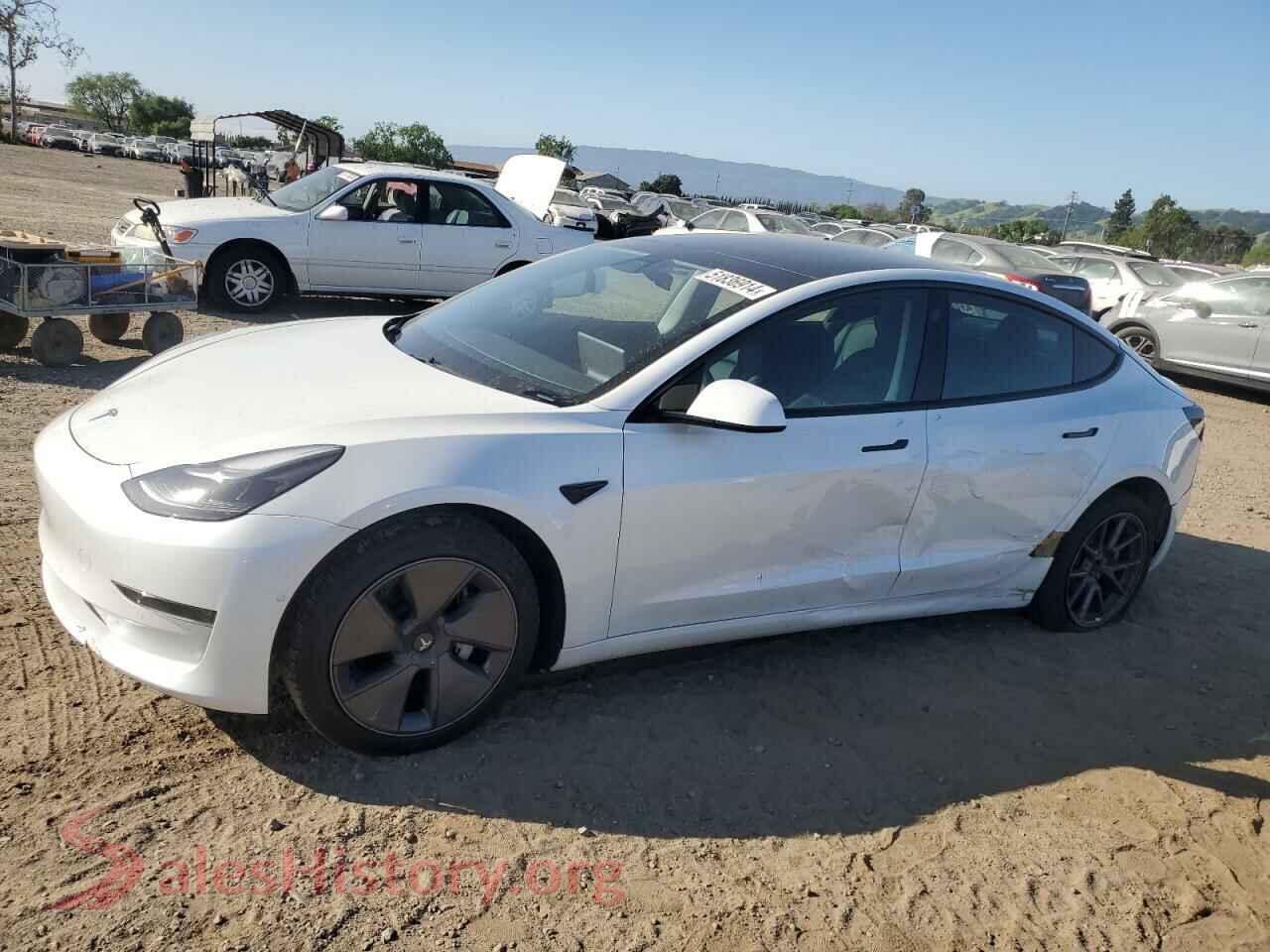 2021 TESLA MODEL 3 — VIN 5YJ3E1EA1MF878663