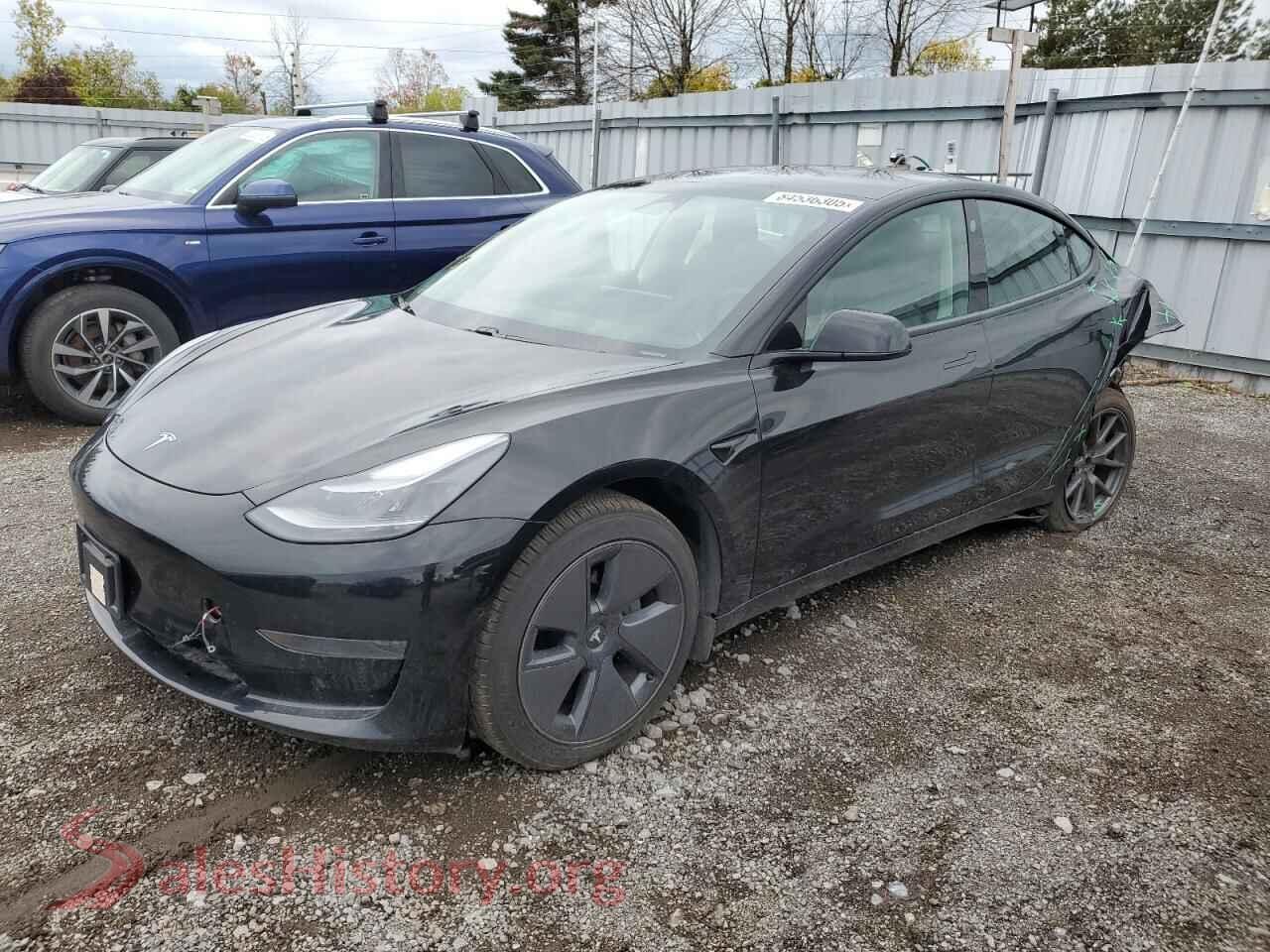 2021 TESLA MODEL 3 — VIN 5YJ3E1EA1MF962451