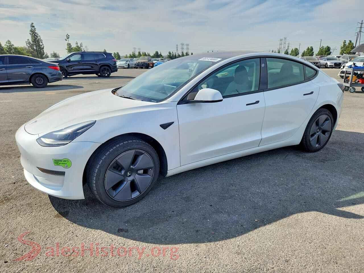2023 TESLA MODEL 3 — VIN 5YJ3E1EA1PF501206