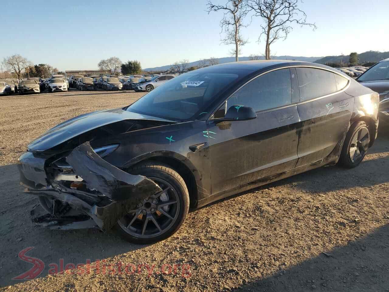 2023 TESLA MODEL 3 — VIN 5YJ3E1EA1PF504073