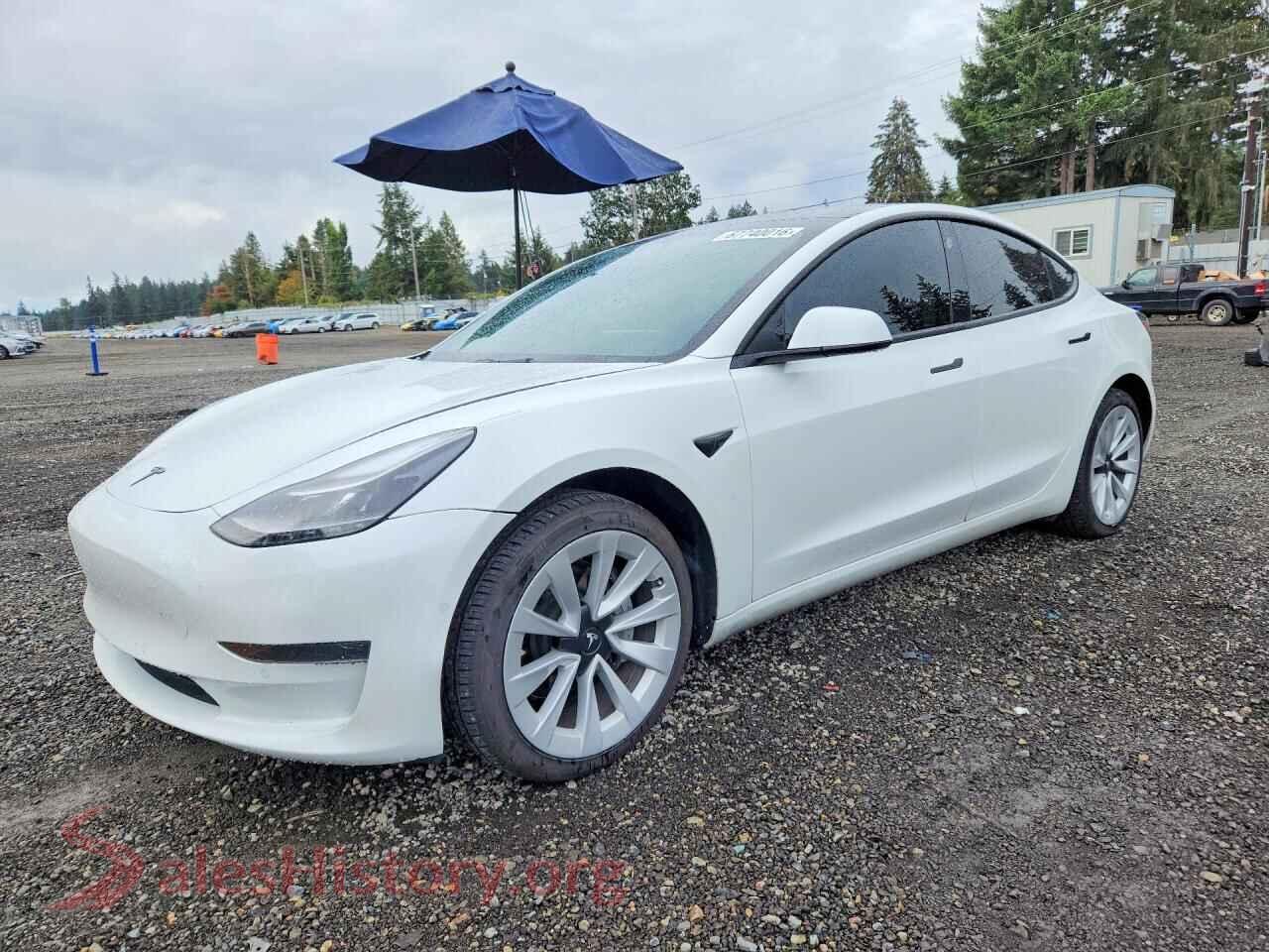 2021 TESLA MODEL 3 — VIN 5YJ3E1EA2MF100971