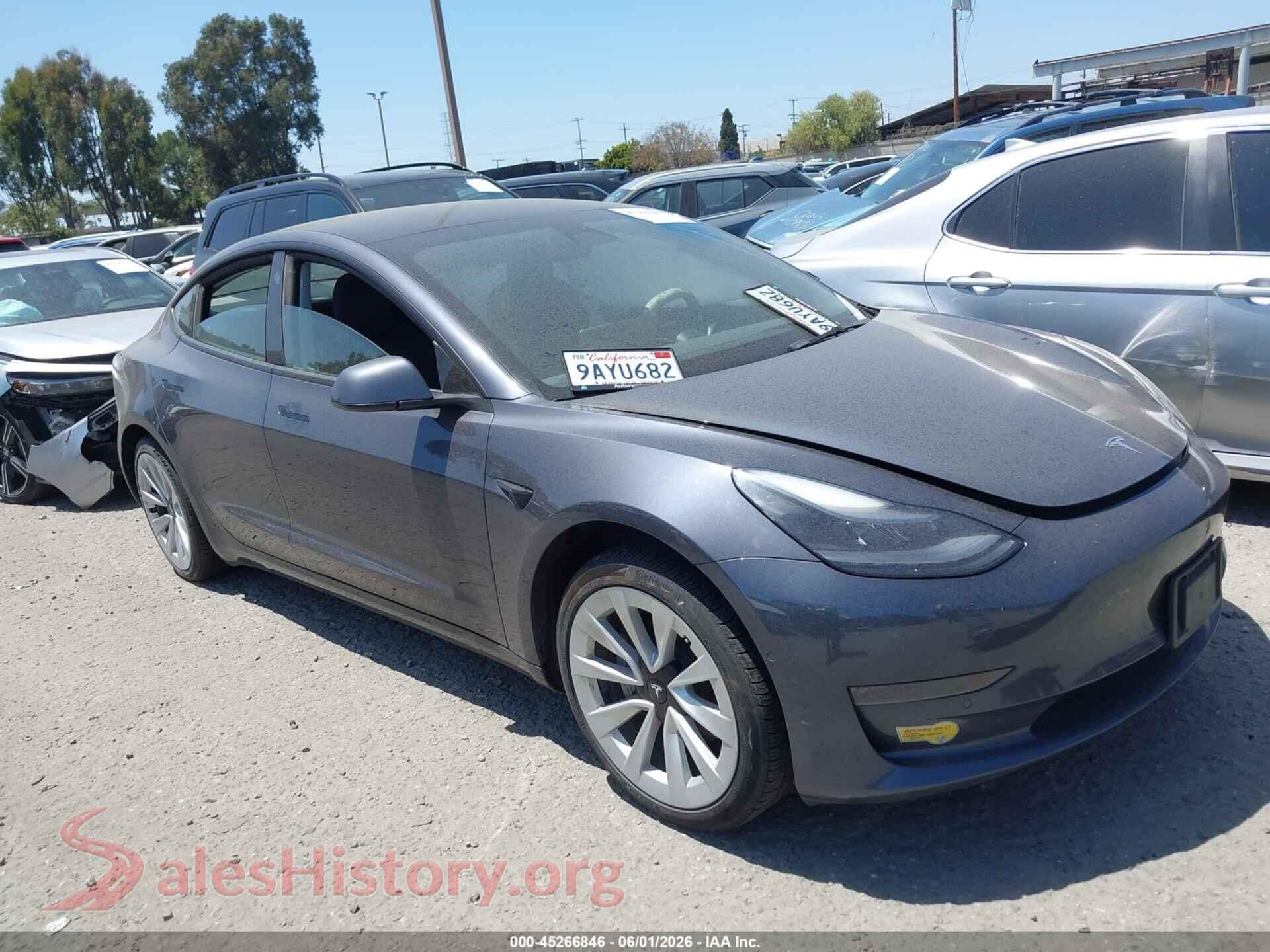 2022 TESLA MODEL 3 — VIN 5YJ3E1EA2NF175462