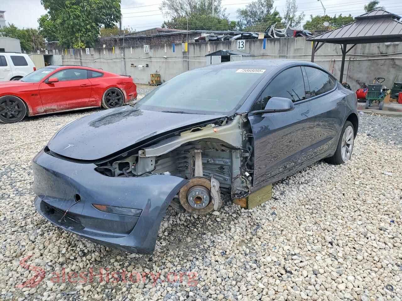 2022 TESLA MODEL 3 — VIN 5YJ3E1EA2NF331323