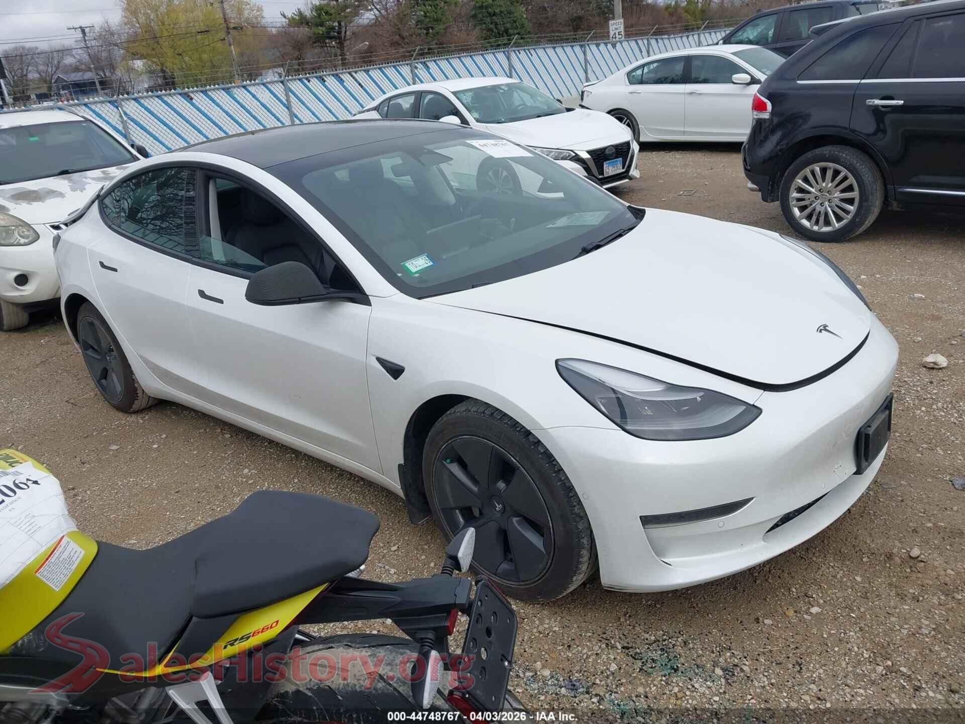 2021 TESLA MODEL 3 — VIN 5YJ3E1EA3MF943044