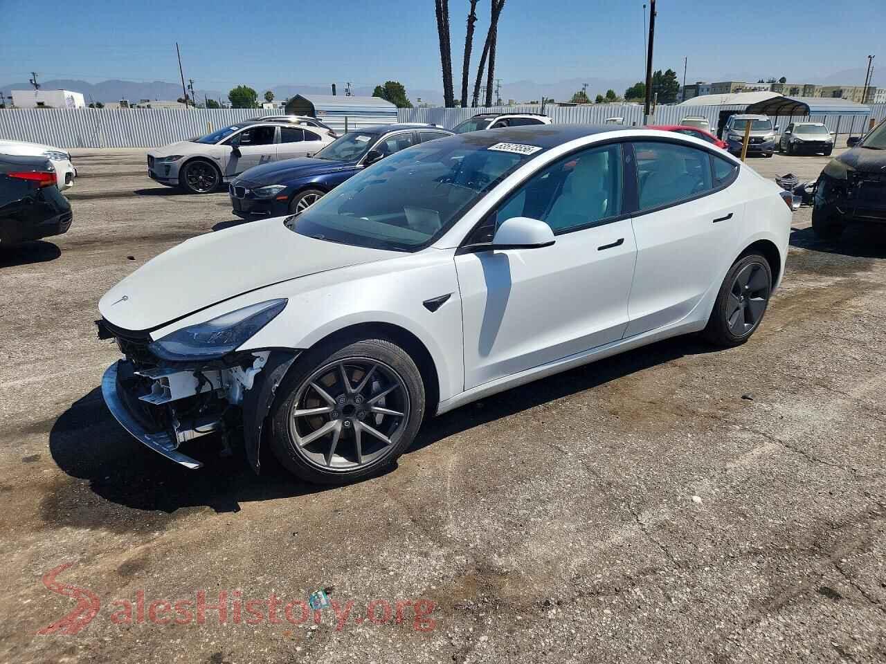 2021 TESLA MODEL 3 — VIN 5YJ3E1EA3MF995127