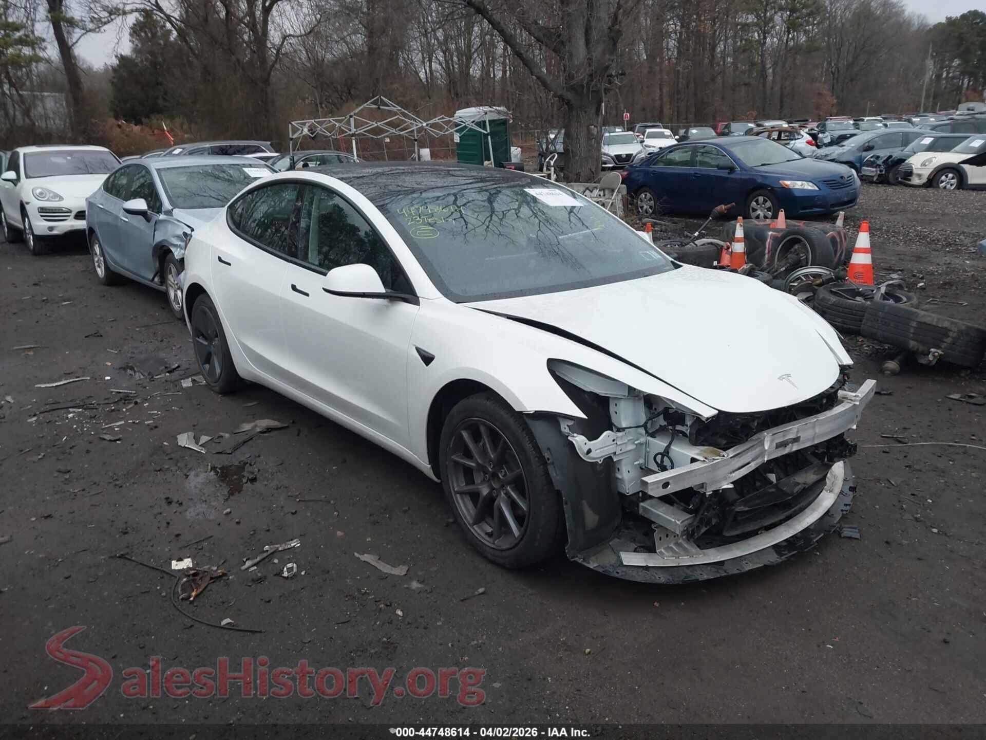 2023 TESLA MODEL 3 — VIN 5YJ3E1EA3PF565991