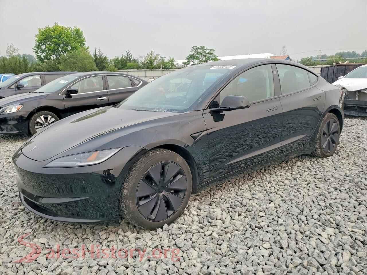 2024 TESLA MODEL 3 — VIN 5YJ3E1EA3RF771489
