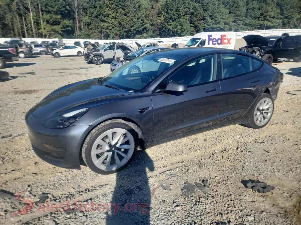 2022 TESLA MODEL 3 — VIN 5YJ3E1EA4NF289463