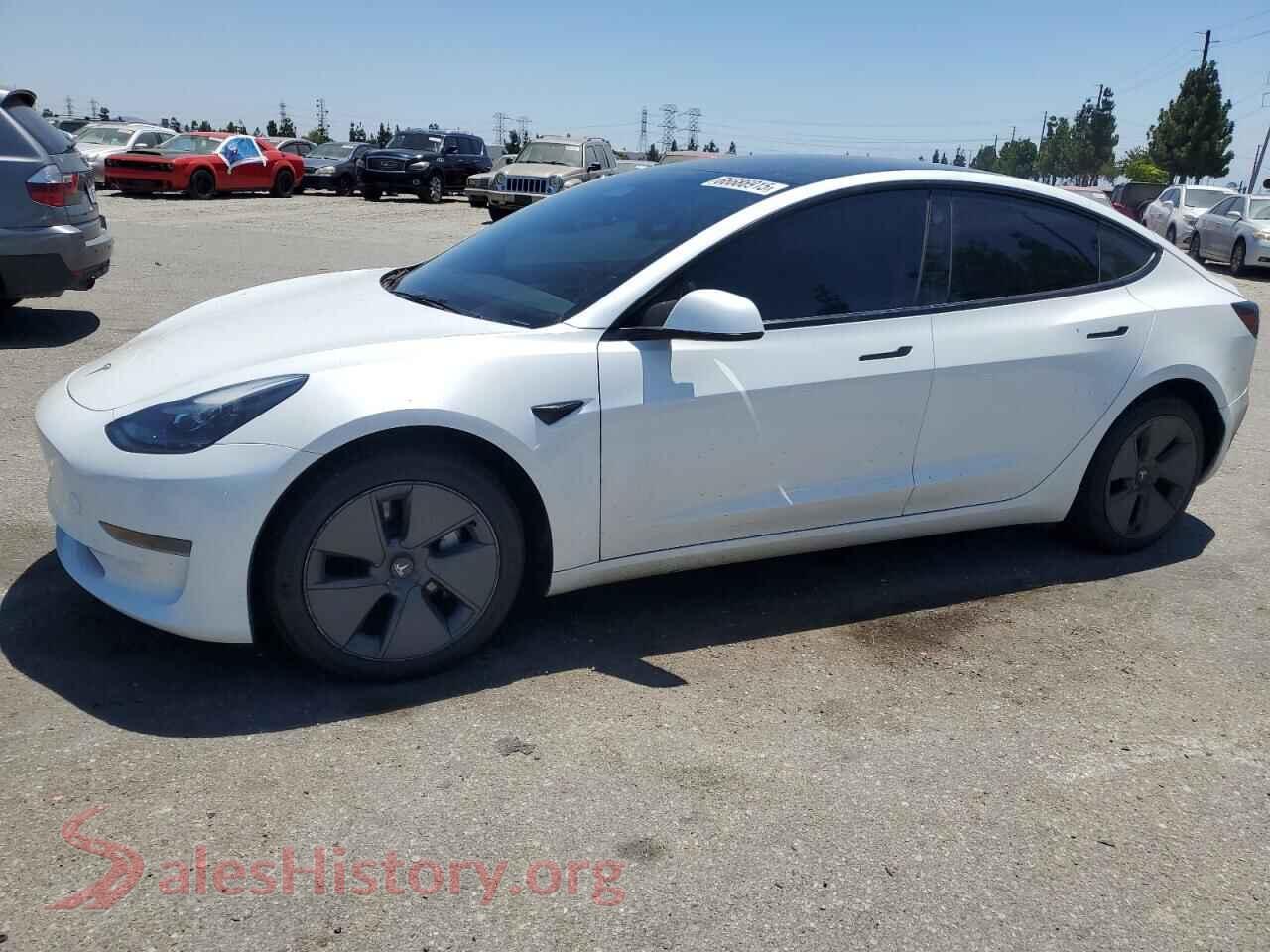 2023 TESLA MODEL 3 — VIN 5YJ3E1EA4PF517805