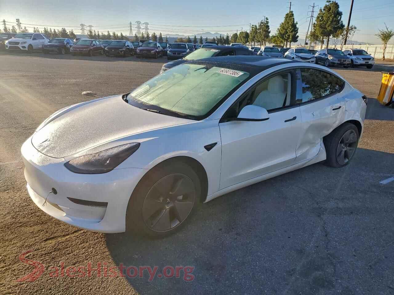 2023 TESLA MODEL 3 — VIN 5YJ3E1EA4PF569824