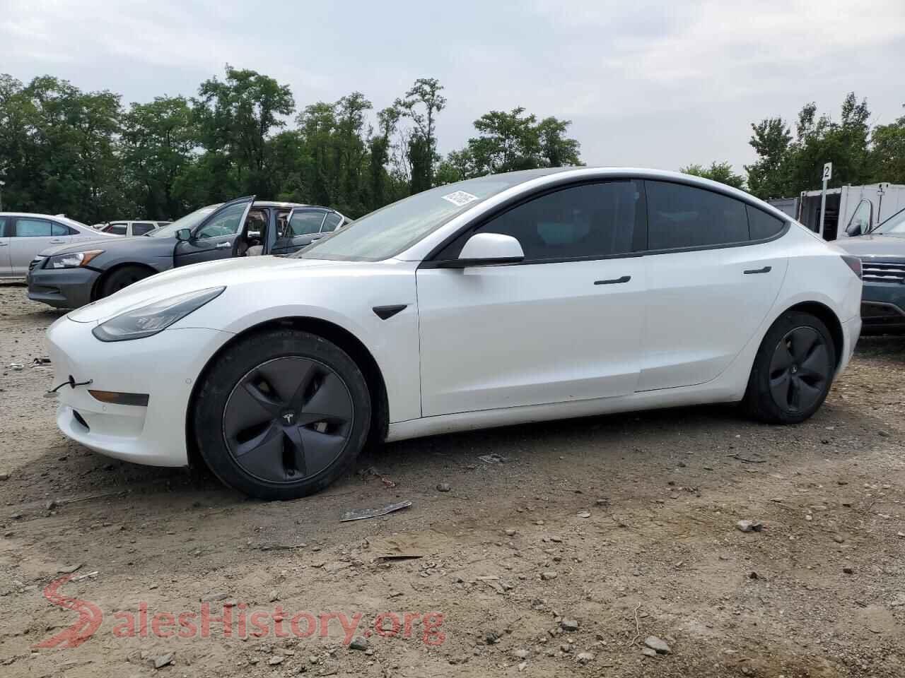 2020 TESLA MODEL 3 — VIN 5YJ3E1EA5LF504197