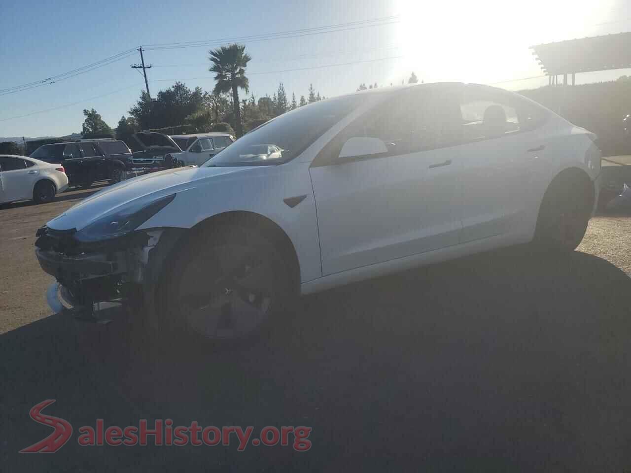 2021 TESLA MODEL 3 — VIN 5YJ3E1EA5MF027496