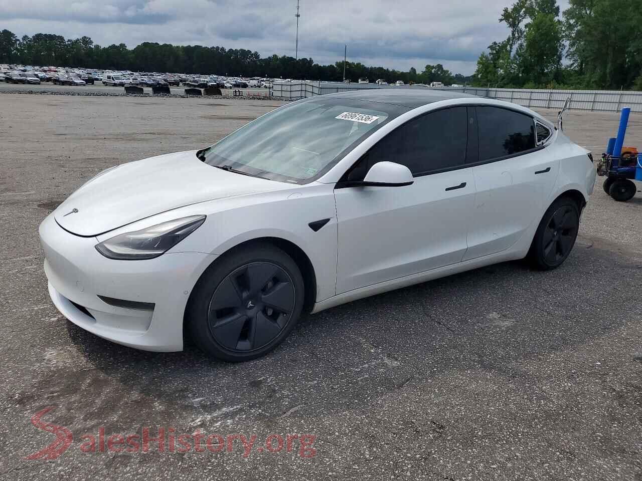 2021 TESLA MODEL 3 — VIN 5YJ3E1EA5MF048865