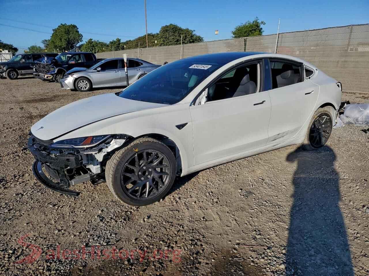 2024 TESLA MODEL 3 — VIN 5YJ3E1EA5RF831367