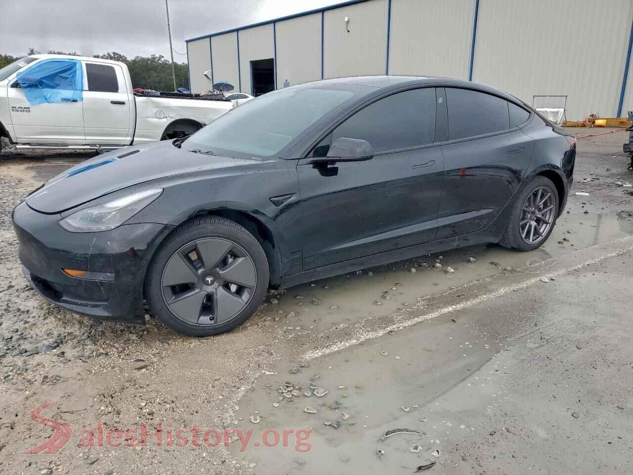 2021 TESLA MODEL 3 — VIN 5YJ3E1EA6MF017544