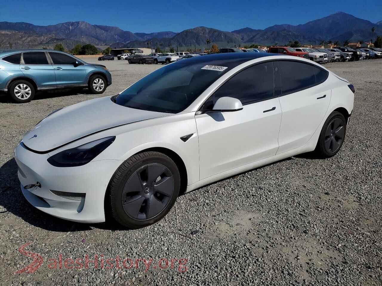 2022 TESLA MODEL 3 — VIN 5YJ3E1EA6NF138981