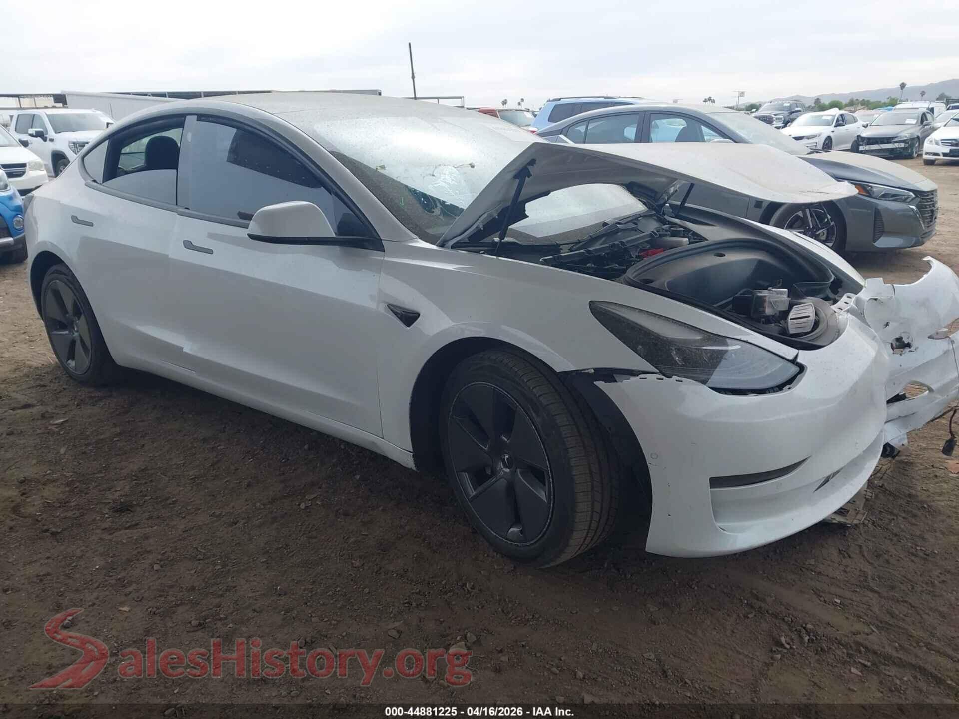 2021 TESLA MODEL 3 — VIN 5YJ3E1EA7MF977116