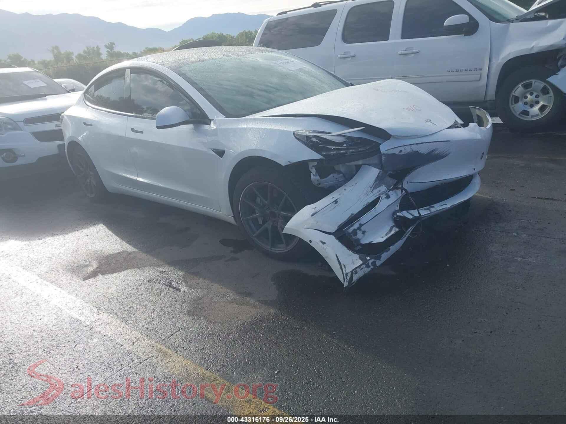 2021 TESLA MODEL 3 — VIN 5YJ3E1EA8MF045667