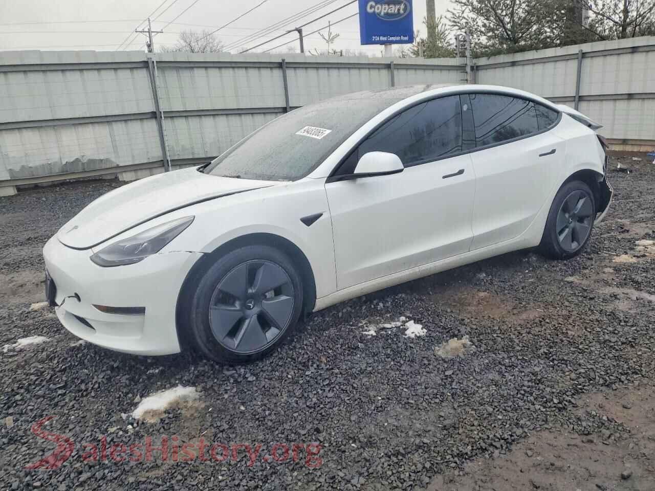 2023 TESLA MODEL 3 — VIN 5YJ3E1EA8PF506810