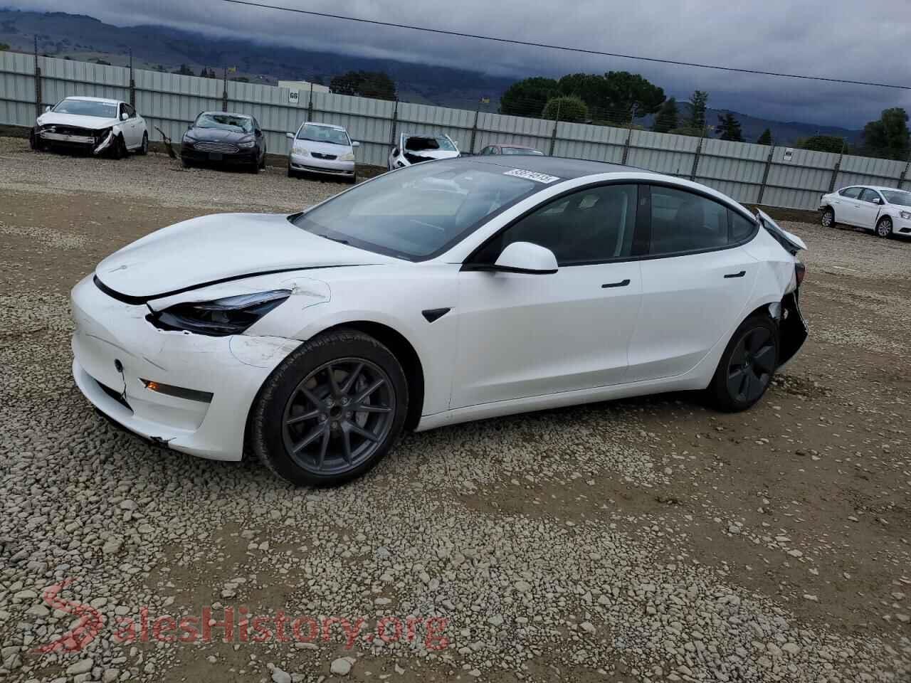2023 TESLA MODEL 3 — VIN 5YJ3E1EA8PF542030