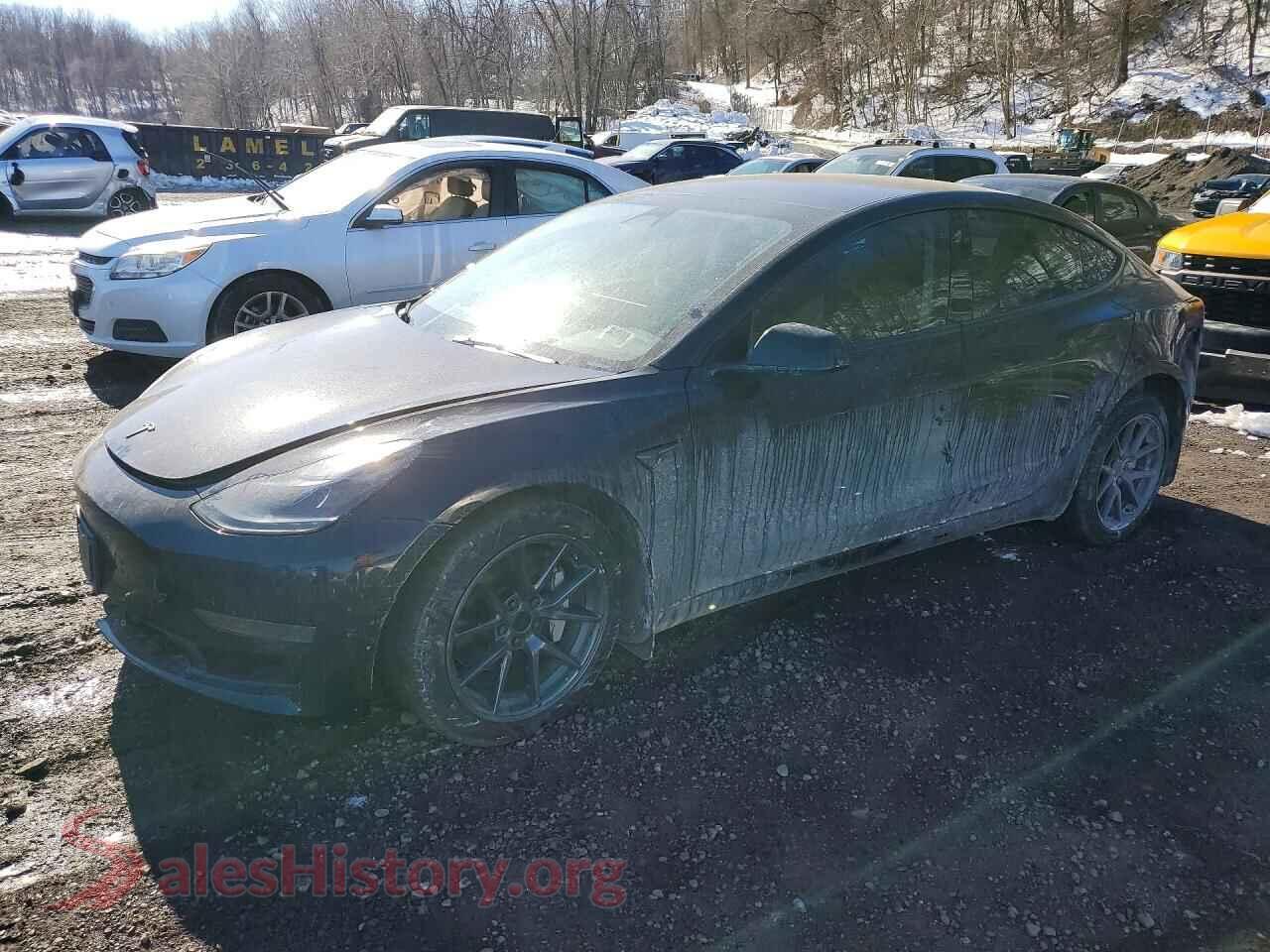 2023 TESLA MODEL 3 — VIN 5YJ3E1EA8PF579675