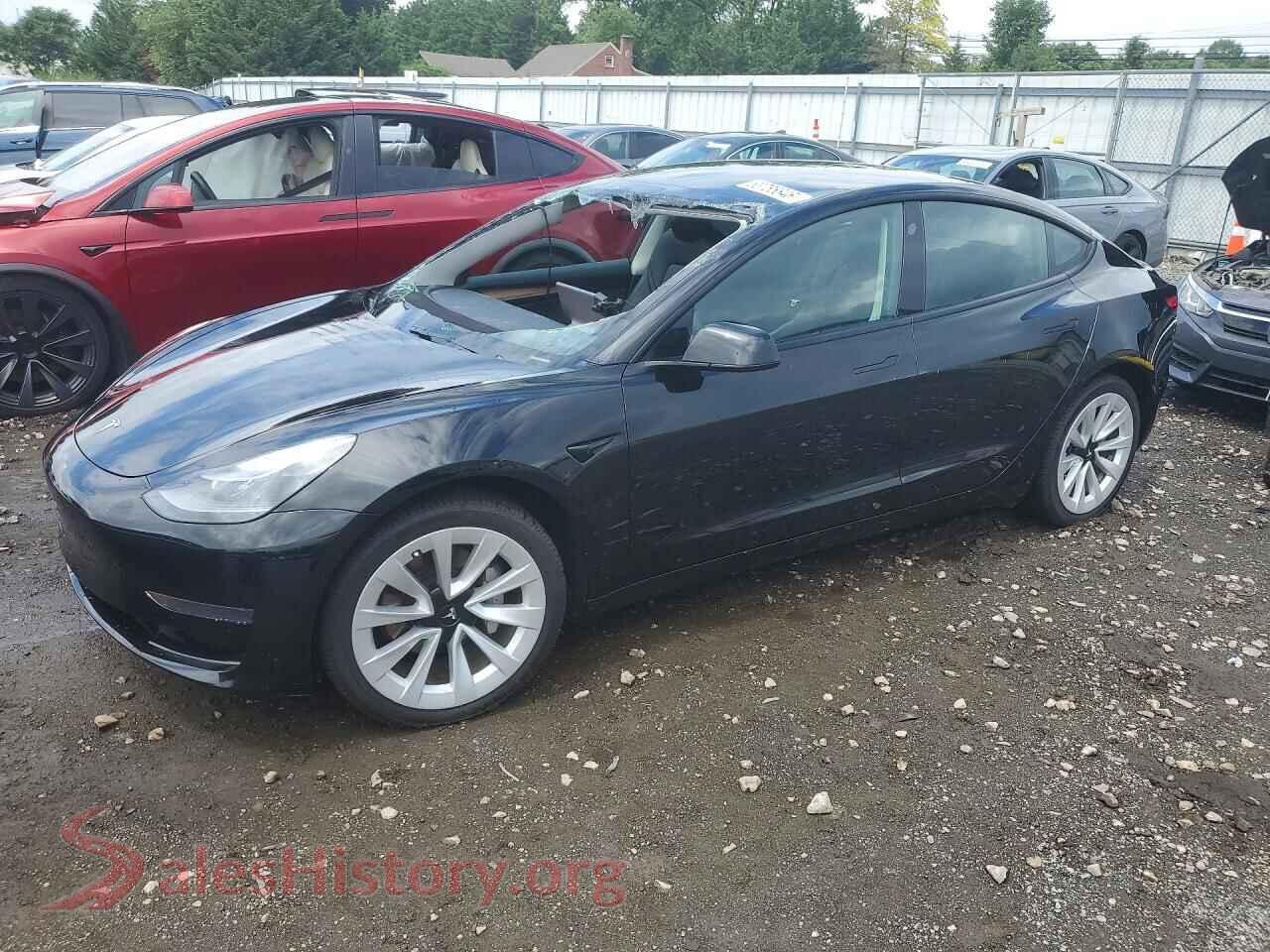 2023 TESLA MODEL 3 — VIN 5YJ3E1EA8PF591759