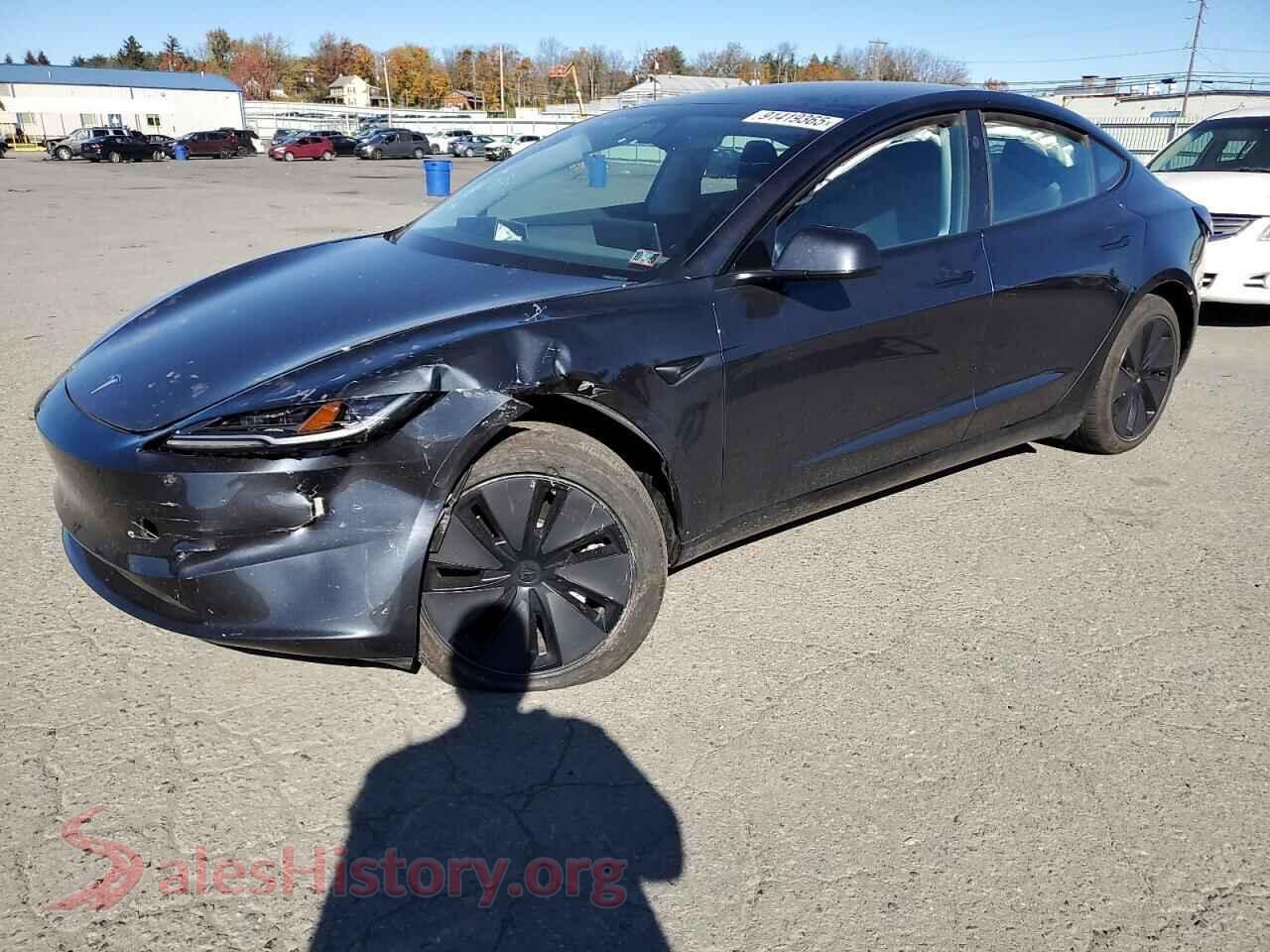 2024 TESLA MODEL 3 — VIN 5YJ3E1EA9RF873198
