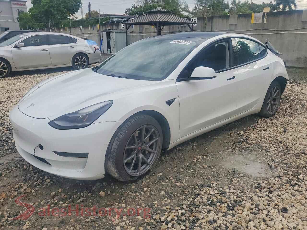 2021 TESLA MODEL 3 — VIN 5YJ3E1EAXMF083532