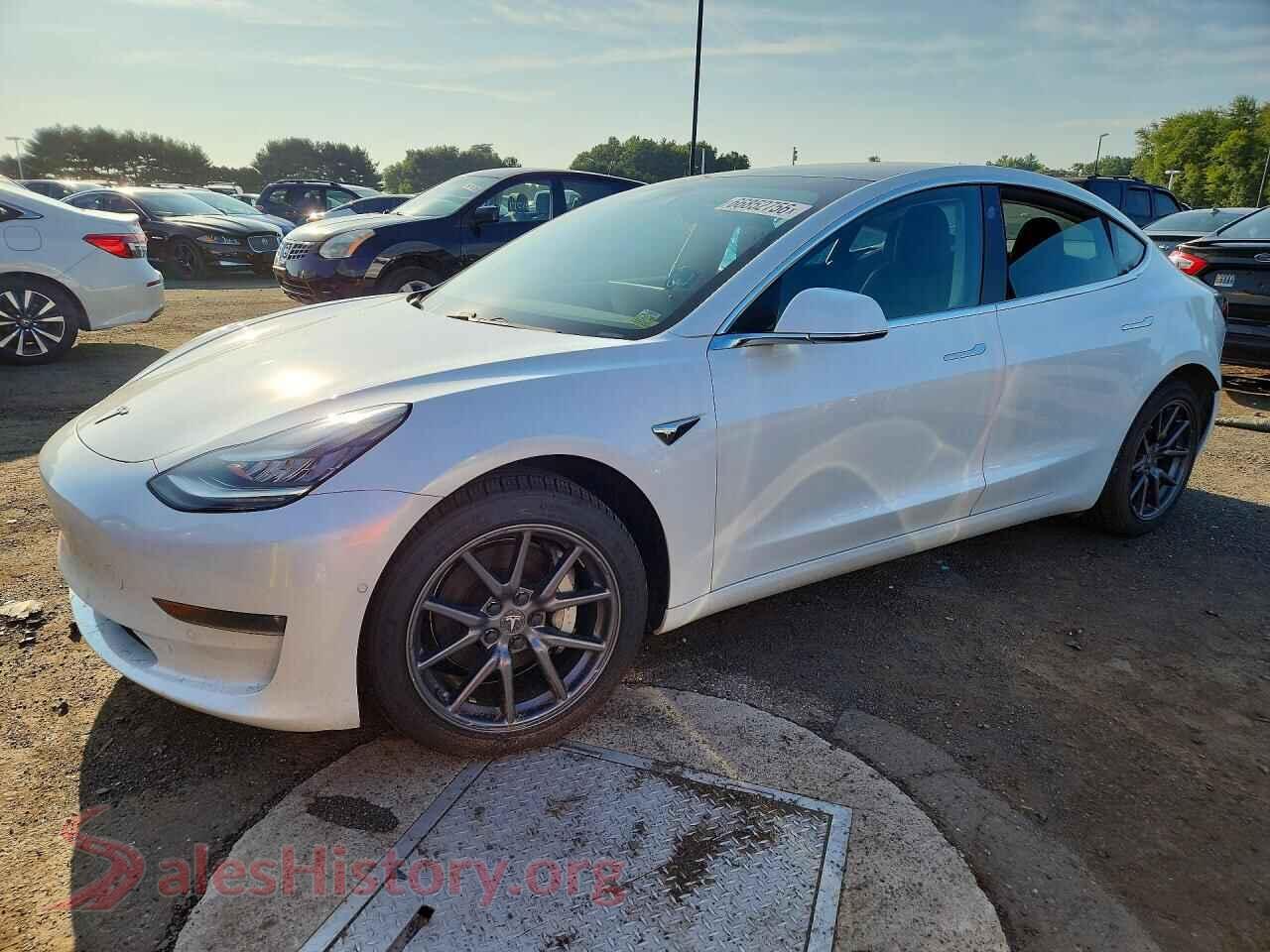 2019 TESLA MODEL 3 — VIN 5YJ3E1EB1KF359554