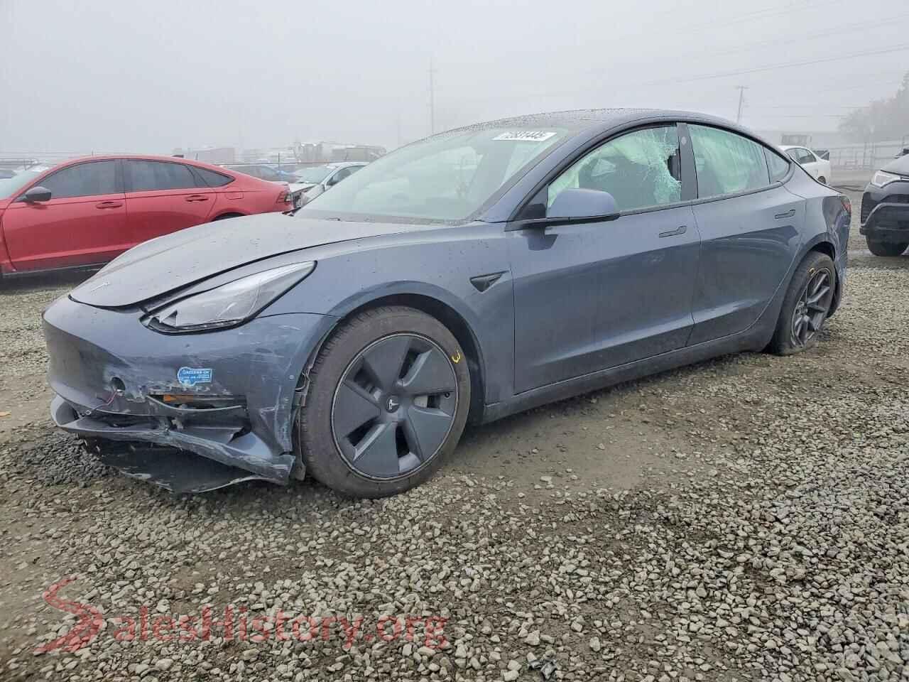 2021 TESLA MODEL 3 — VIN 5YJ3E1EB1MF858051