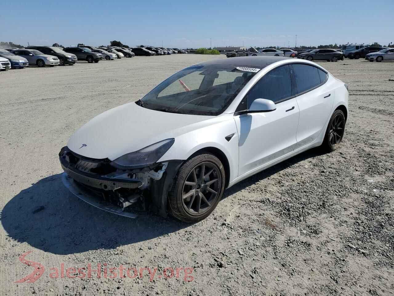 2021 TESLA MODEL 3 — VIN 5YJ3E1EB2MF927152