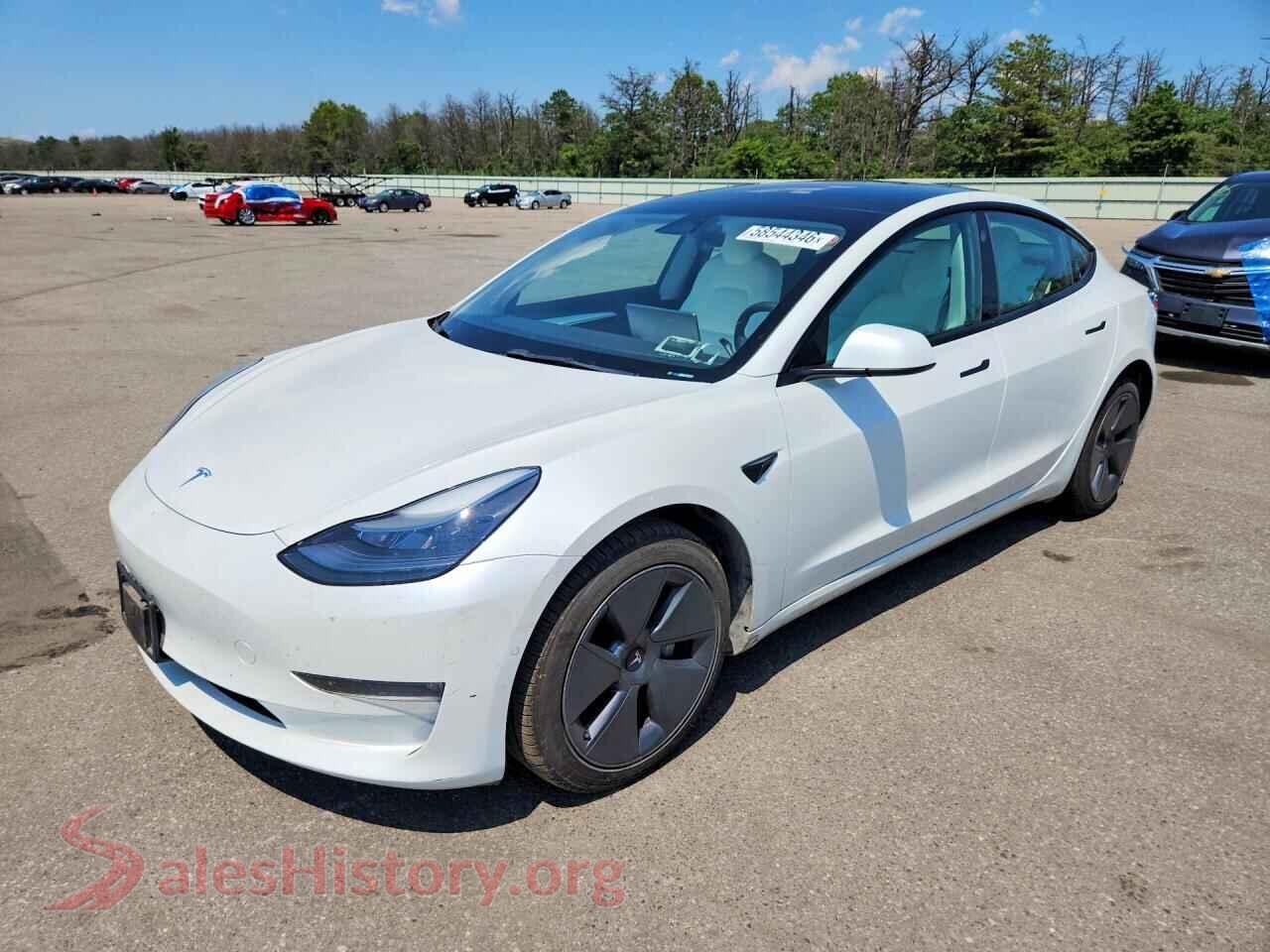 2022 TESLA MODEL 3 — VIN 5YJ3E1EB2NF176975