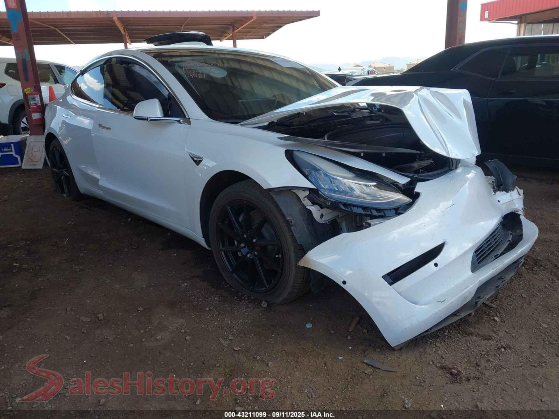 2019 TESLA MODEL 3 — VIN 5YJ3E1EB3KF199581