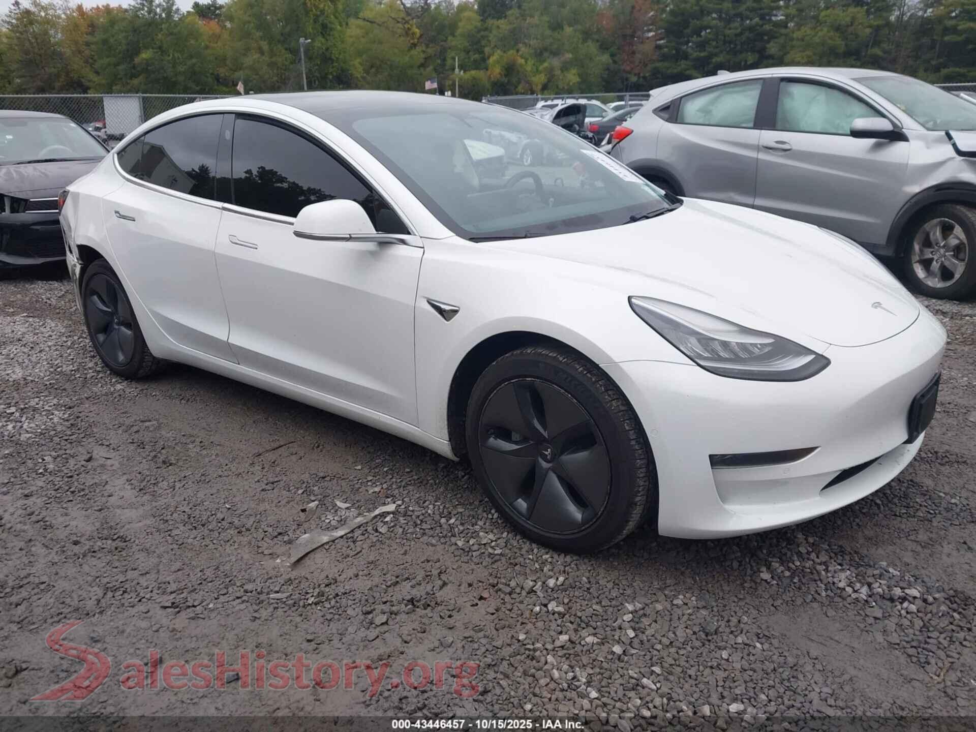 2019 TESLA MODEL 3 — VIN 5YJ3E1EB3KF388196