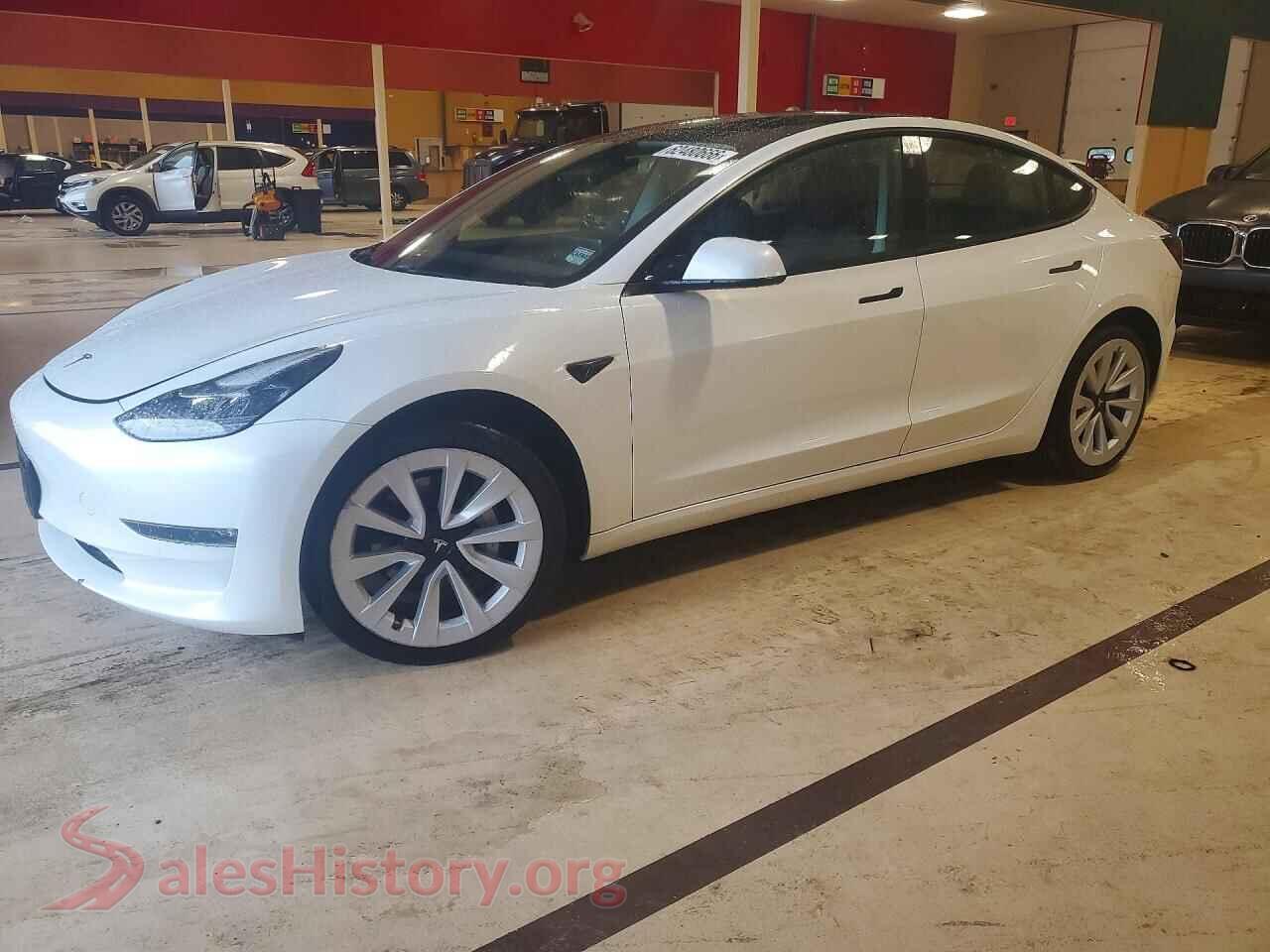 2021 TESLA MODEL 3 — VIN 5YJ3E1EB3MF065396