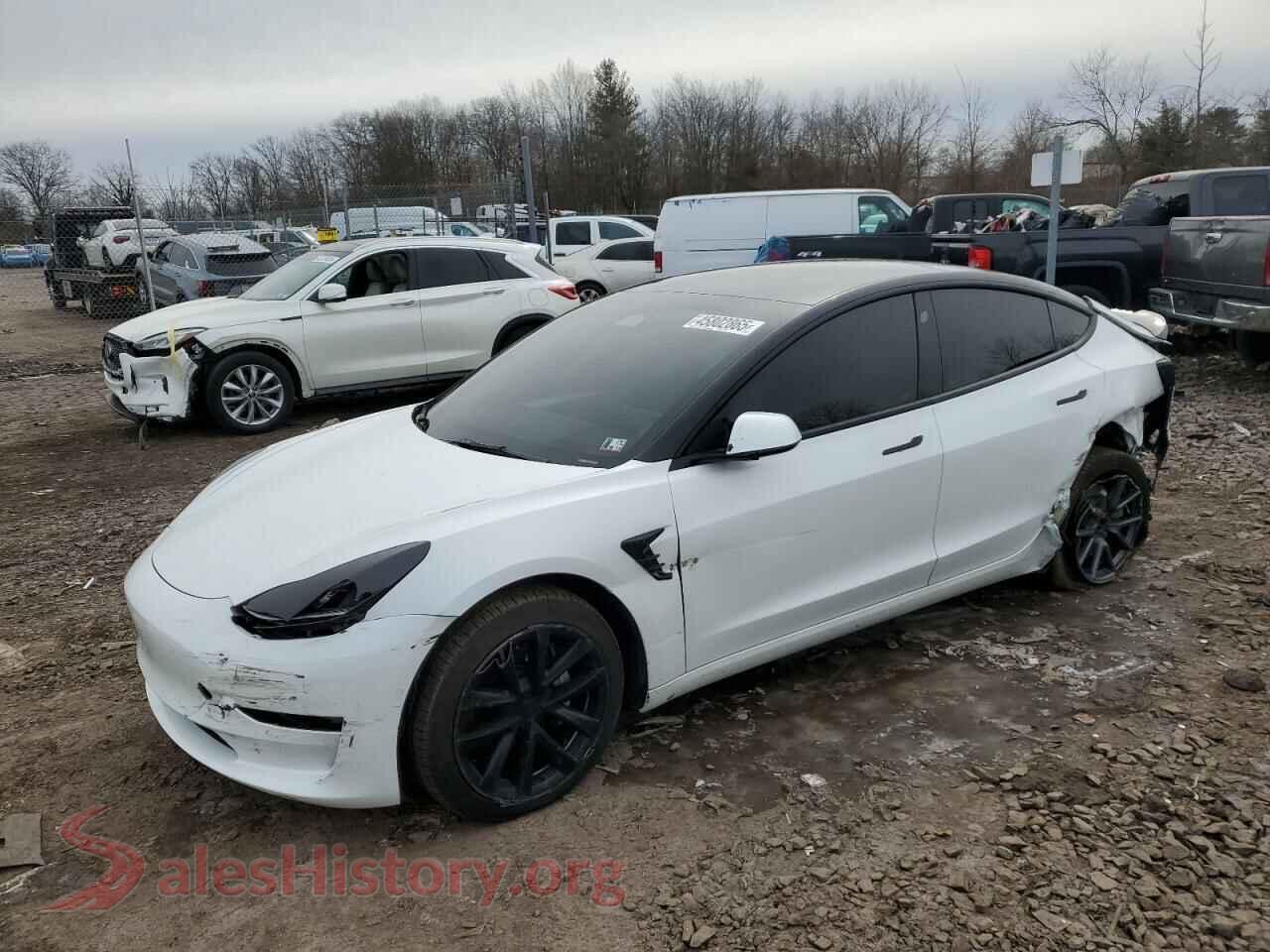 2022 TESLA MODEL 3 — VIN 5YJ3E1EB4NF164276
