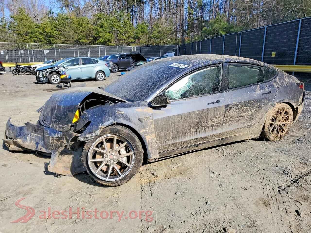 2021 TESLA MODEL 3 — VIN 5YJ3E1EB5MF019570