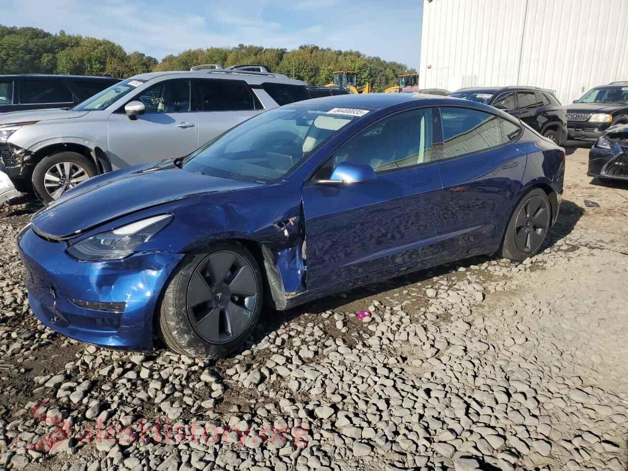 2021 TESLA MODEL 3 — VIN 5YJ3E1EB5MF055629