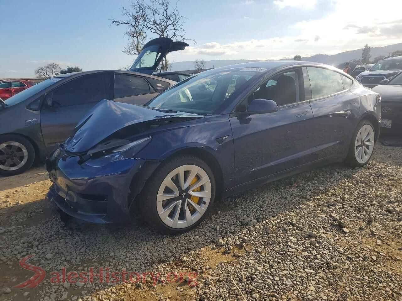 2021 TESLA MODEL 3 — VIN 5YJ3E1EB5MF064735