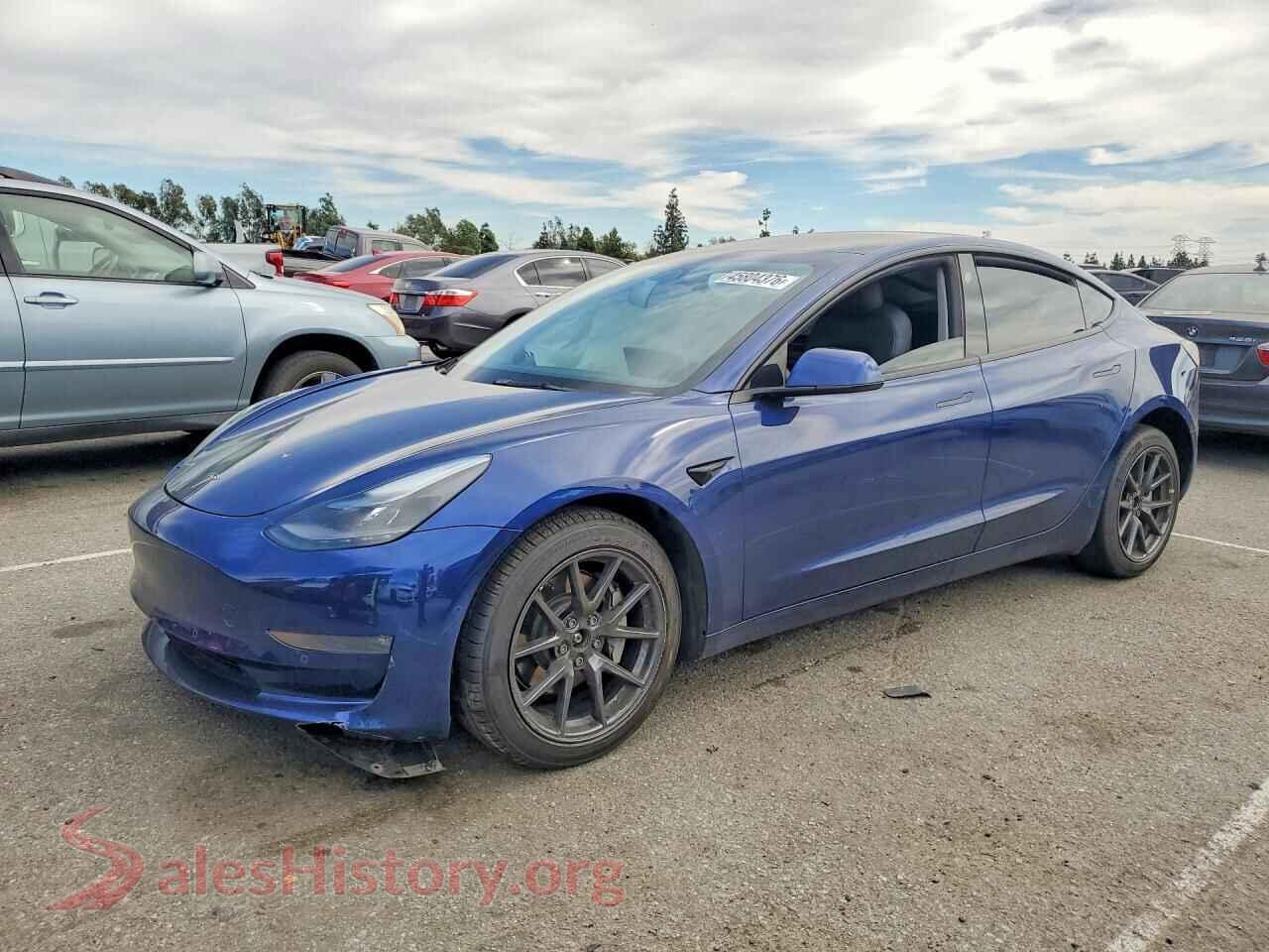 2022 TESLA MODEL 3 — VIN 5YJ3E1EB7NF135841