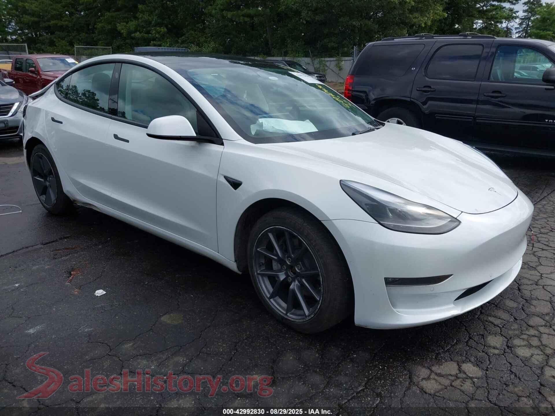 2022 TESLA MODEL 3 — VIN 5YJ3E1EB8NF247631