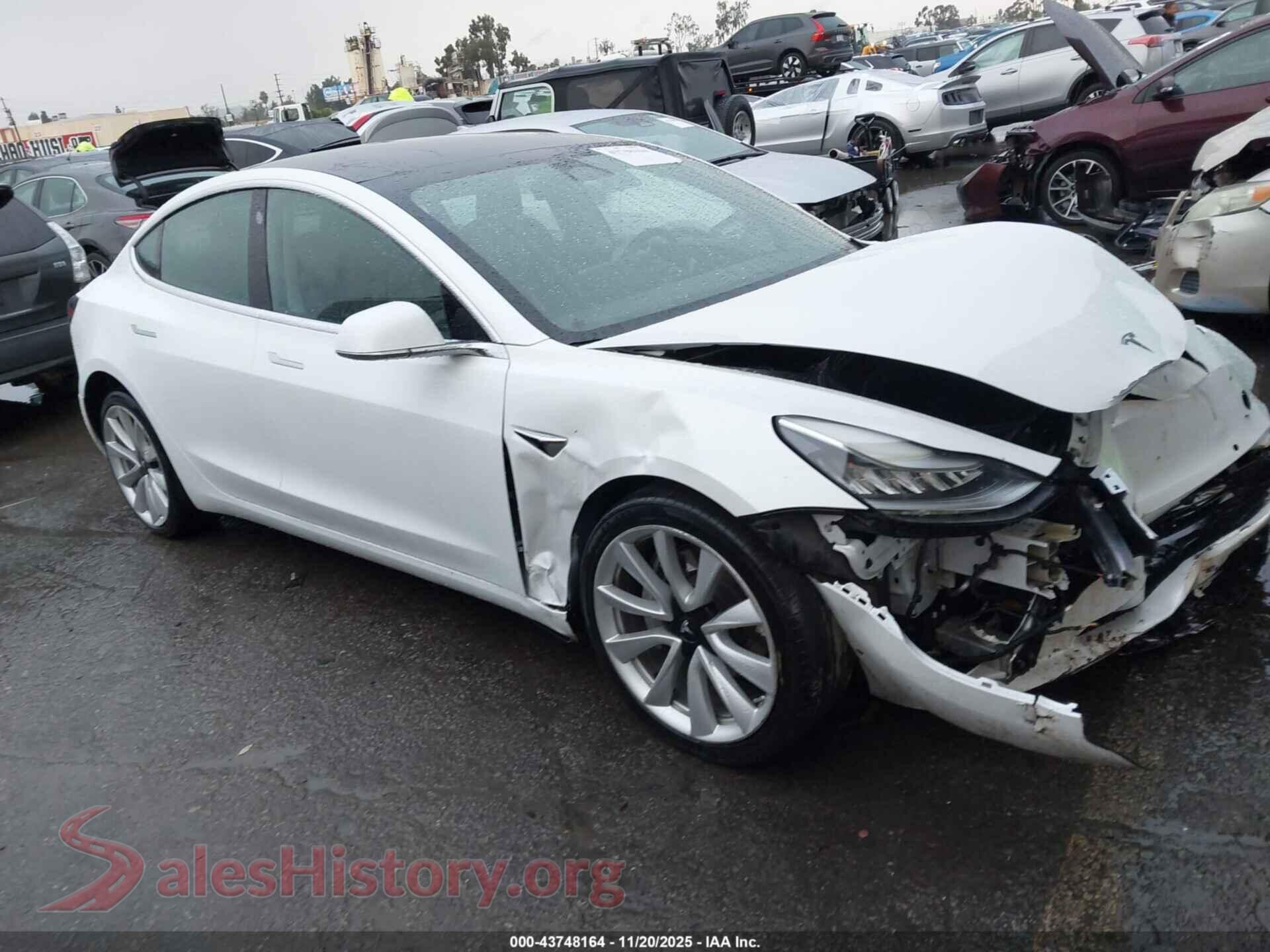 2019 TESLA MODEL 3 — VIN 5YJ3E1EBXKF365773