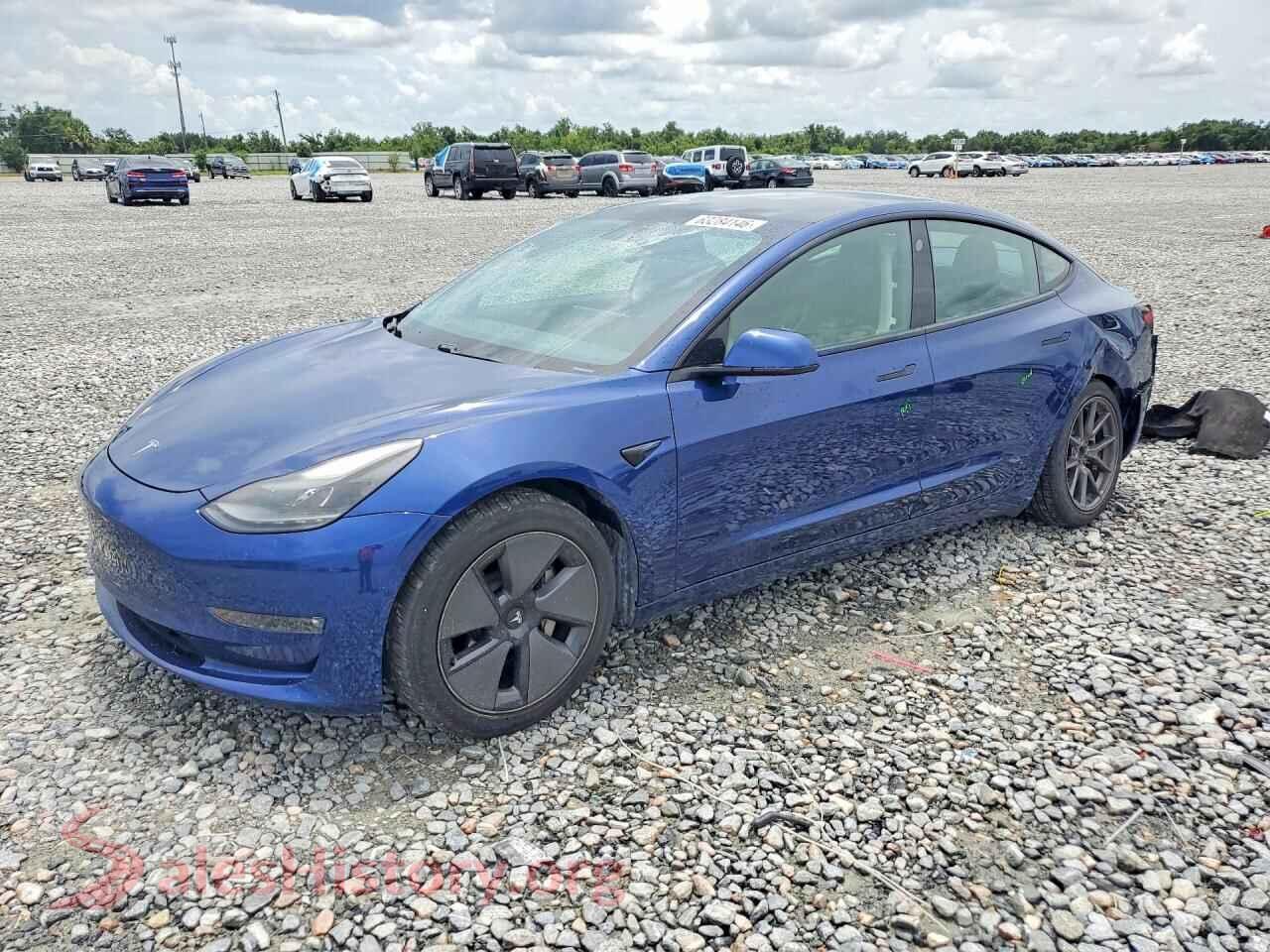 2021 TESLA MODEL 3 — VIN 5YJ3E1EBXMF869193